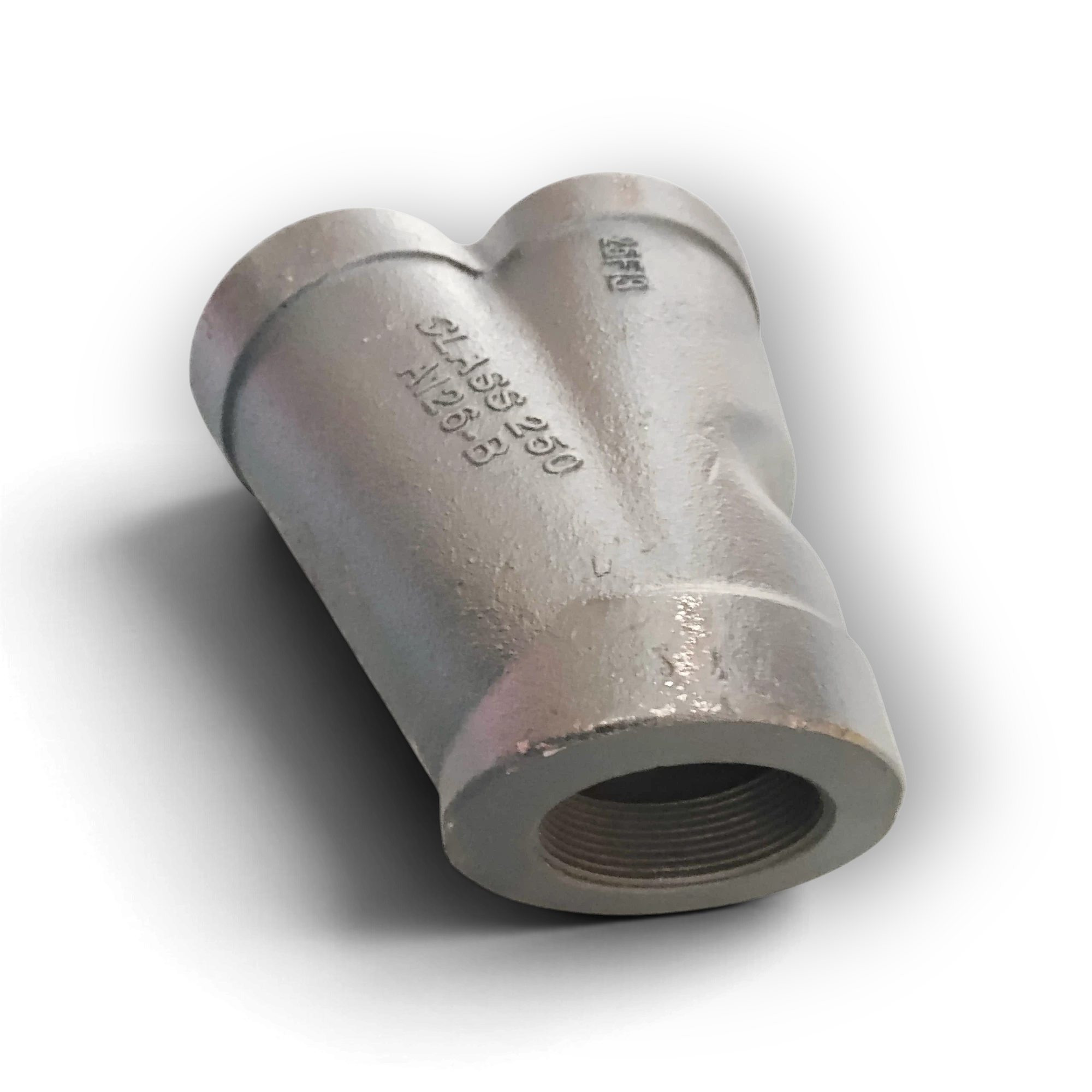 Y-Strainer Assembly