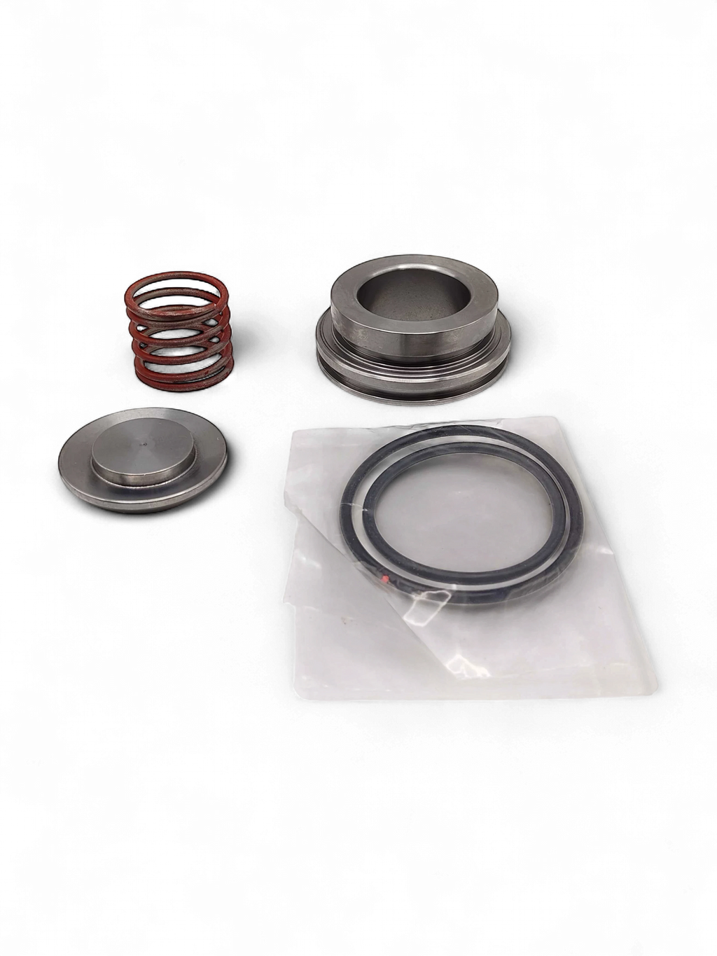 Range Supply GP5142 pump valve repair kit components including metal valve seat, spring, and rubber seals.