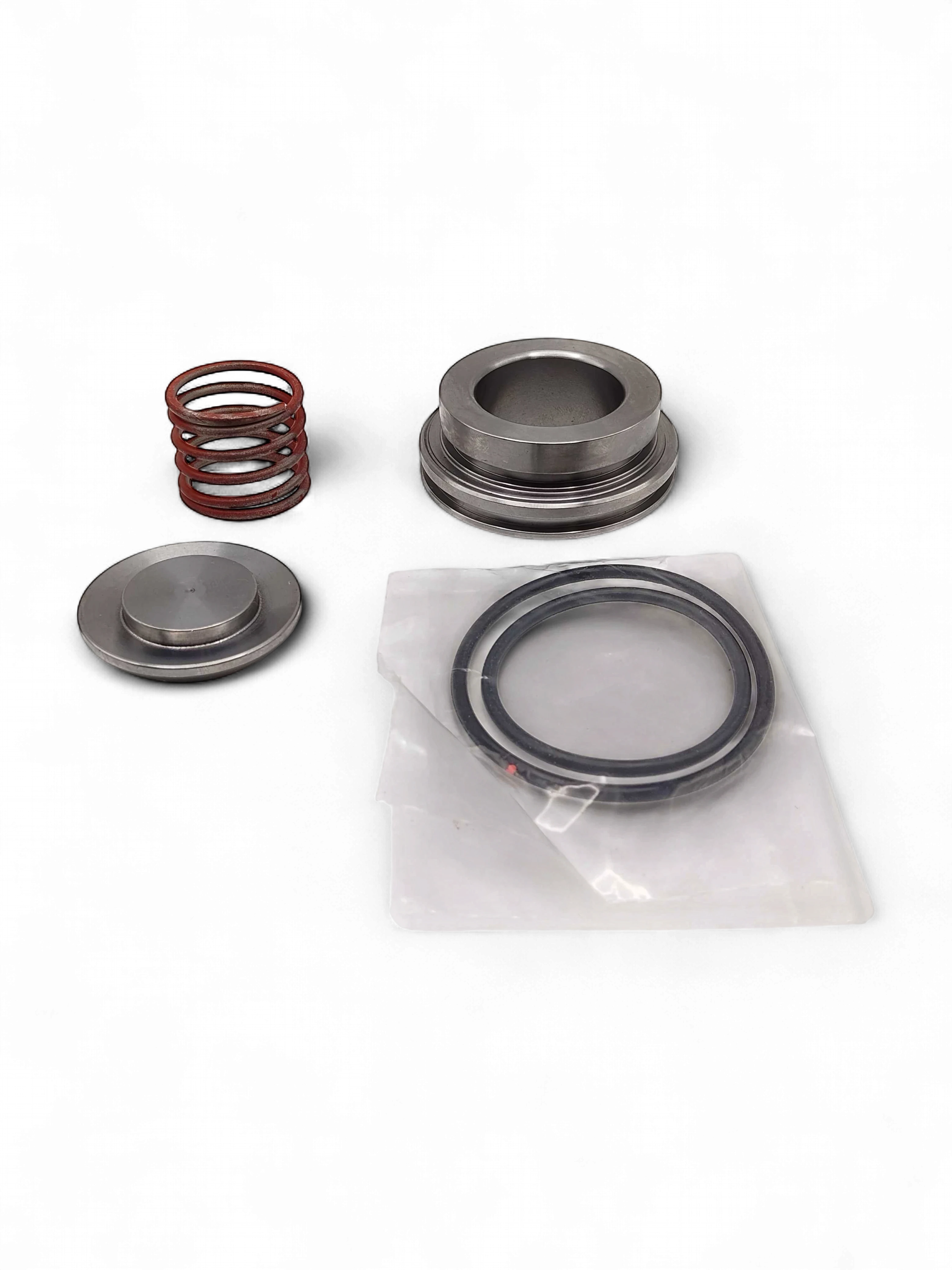 Range Supply GP5142 pump valve repair kit components including metal valve seat, spring, and rubber seals.