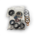 Range Supply Myers C35-20L water pump fluid end repair kit containing assorted seals, gaskets, and springs in plastic bags.