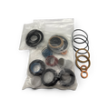 Range Supply Myers C35-20L water pump fluid end repair kit containing assorted seals, gaskets, and springs in plastic bags.