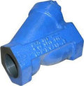 Y-Strainer Assembly - Range Supply